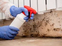 Best Airborne Mold Testing in Norwalk, OH